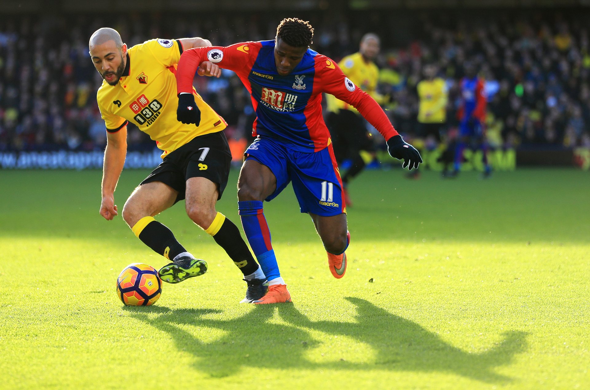 术多样性 术多样性